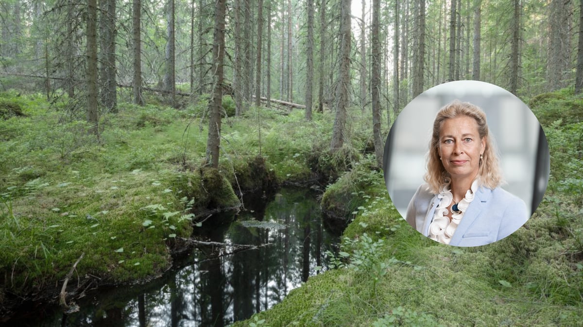Vihreä metsä ja puro; oikealla upotettu henkilökuva Annika Ramsköldistä