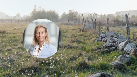 CSRD ESRS Annika Ramsköld