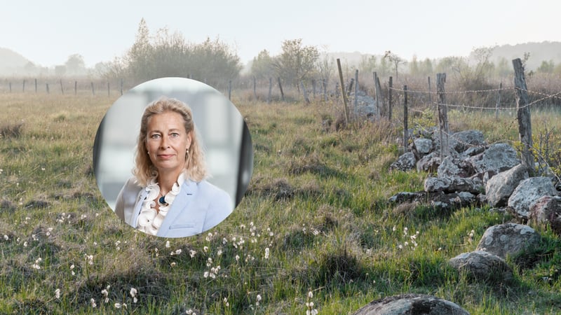 CSRD ESRS Annika Ramsköld