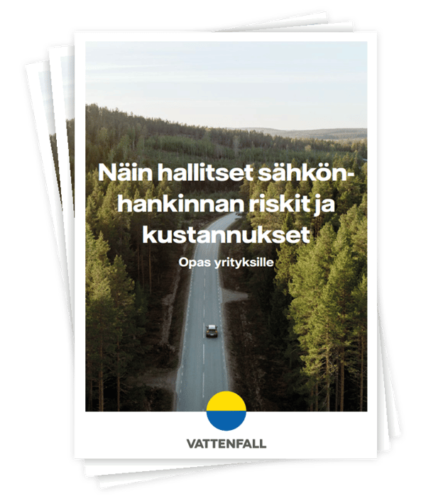 Näin hallitset sähkönhankinnan riskit ja kustannukset