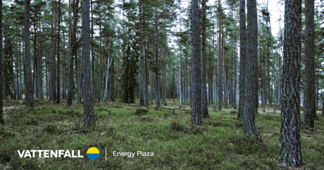 Mäntymetsä