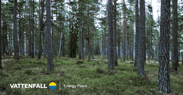 Mäntymetsä
