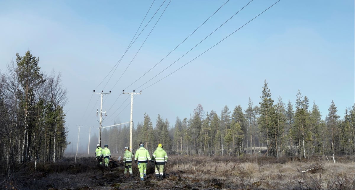 Työntekijöitä kävelemässä sähkölinjojen alla metsämaastossa.