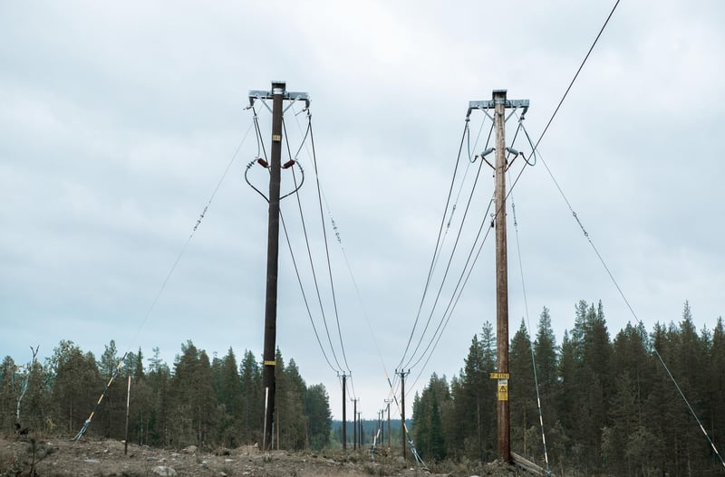 Kabdalis Distribution 335