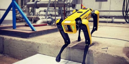 Robottikoira