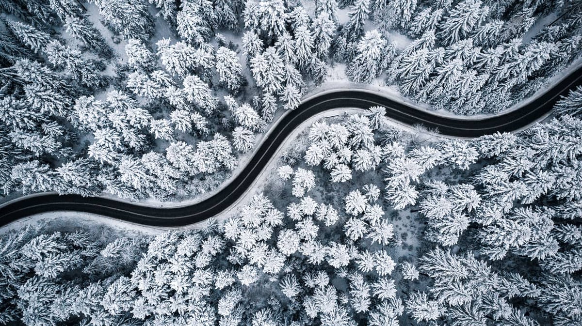 Ilmakuva lumisesta metsästä, jonka halki kulkee mutkitteleva tie