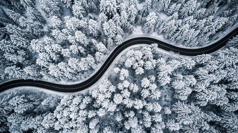 Ilmakuva lumisesta metsästä, jonka halki kulkee mutkitteleva tie