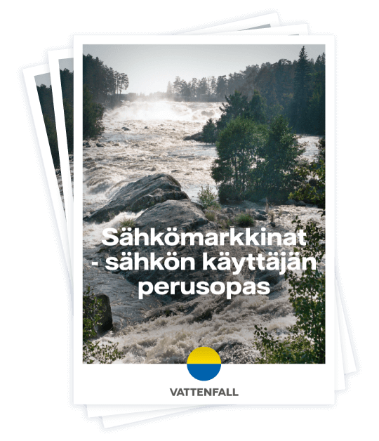 Sähkömarkkinat - sähkön käyttäjän perusopas