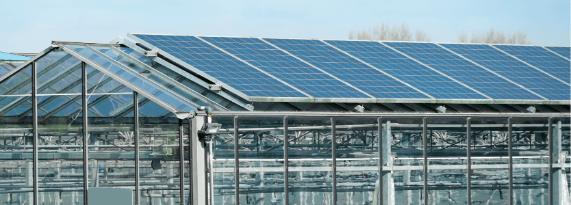 Large Screen 72 DPI-Vattenfall_SME_solar_greenhouse_01-2-1