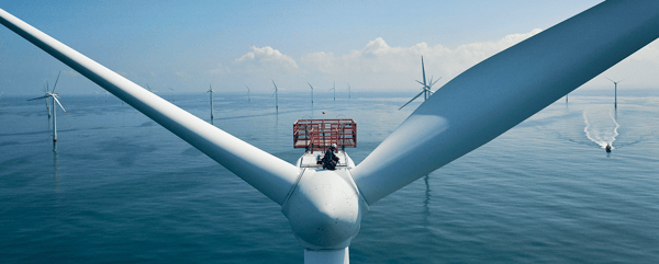 Horns_rev_wind_farm_19