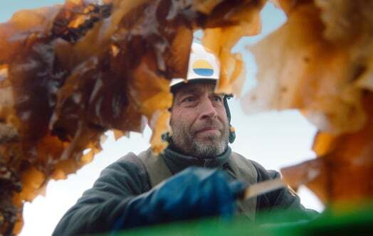 seaweed-farming-mads-hecter-5x3